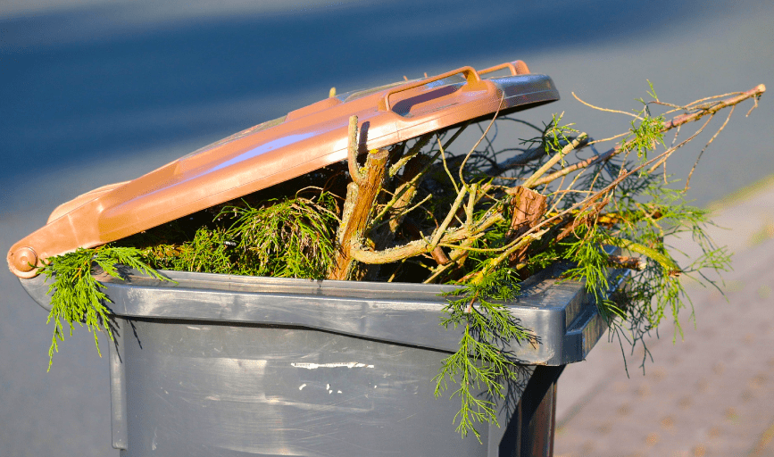 Savage Junk Removal & Hauling